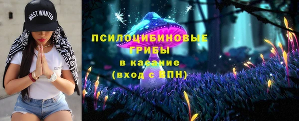гашик Елабуга
